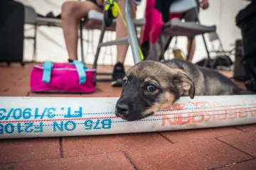 Tõrva Challenge 2023, autor: Egon Bogdanov